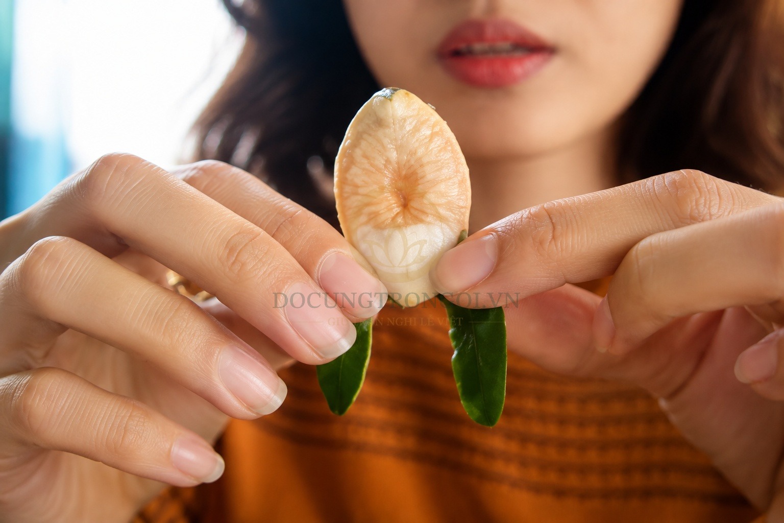 Bước 2: Uốn phần 2 bên xuống và bẻ gập lại 180 độ. Còn phần ở giữa giữ nguyên để gắn lá trầu và hoa hồng vào sau.